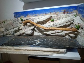 Decoración artesanal para terrarios