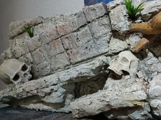 Decoración artesanal para terrarios