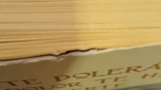 El príncipe cruel y El rey malvado.