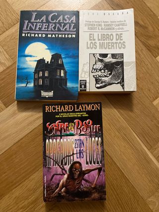 Lote libros Raquel