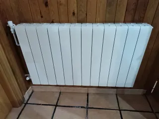 CALDERA DE PELLET FERLUX SELENA 15