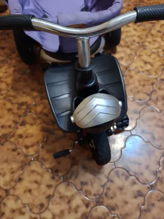 Triciclo evolutivo Polar