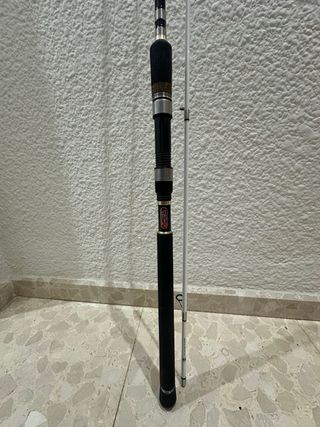 Caña de pescar Cinnetic