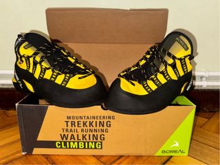 Pies de gato Boreal Lynx