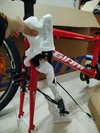 Bicicleta Giant ARX24 Phoenix Fire Nueva