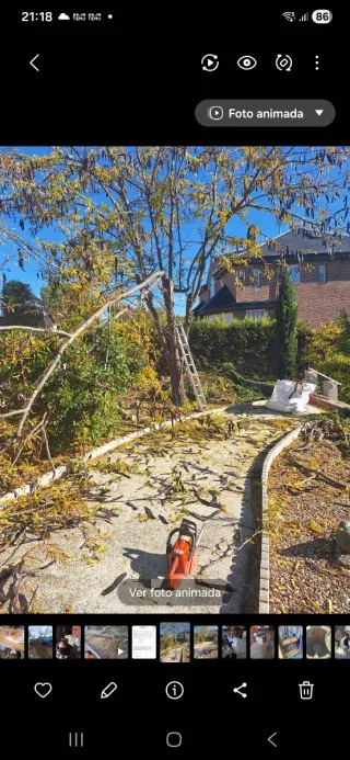 Servicios de jardinería