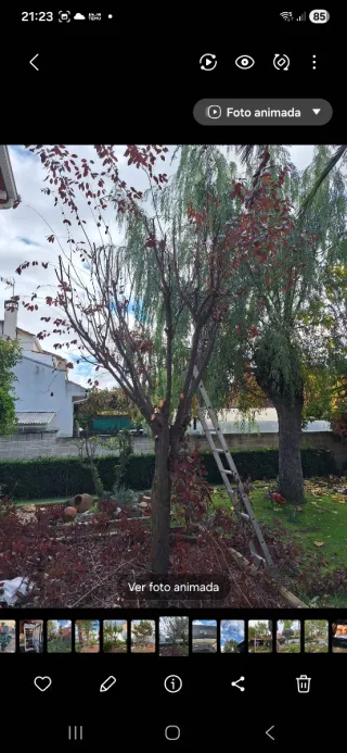 Servicios de jardinería