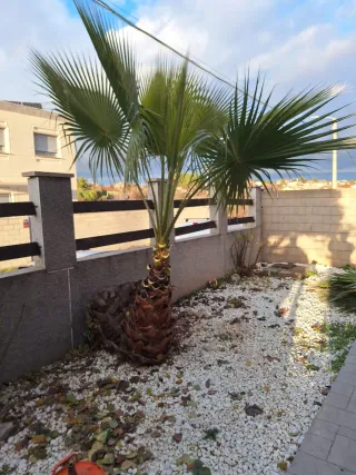 Servicios de jardinería