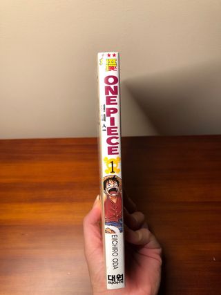원피스 1: 동터오는 모험 시대 Libro One Piece