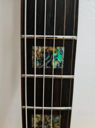 Tanglewood JZ-503 BL con clavijas Shaller Deluxe