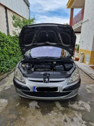 Peugeot 307 2005