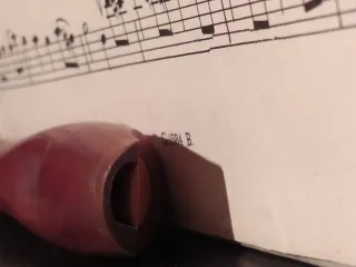 Flauta whistle de madera en Re