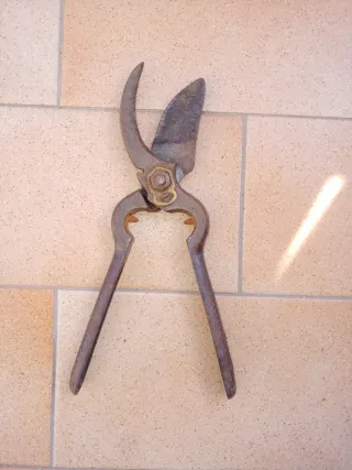 Cesoia antica da potatura