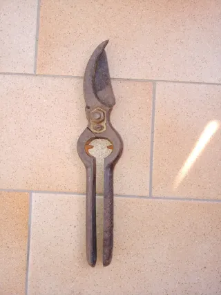 Cesoia antica da potatura