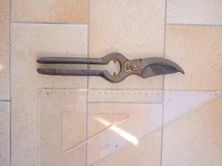 Cesoia antica da potatura