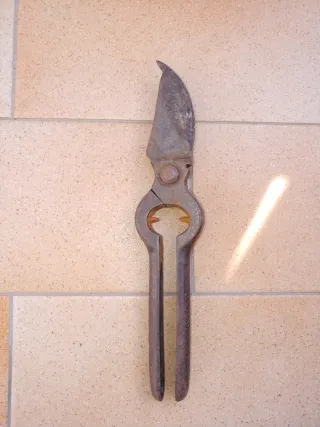 Cesoia antica da potatura