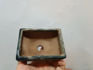 Maceta bonsai cerámica azul/negra