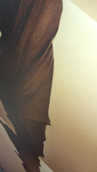 Cuadro Vertical Grande Schirokko. Tuareg desierto.