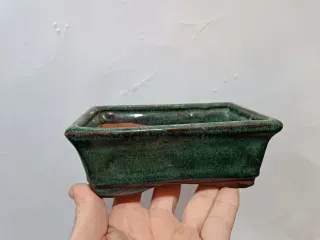 Maceta bonsai cerámica terracota