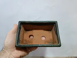 Maceta bonsai terracota verde