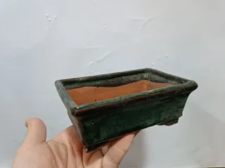 Maceta bonsai terracota verde