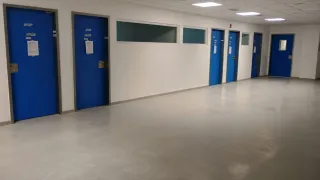 Pintor profesional con experiencia