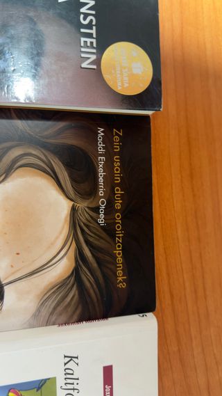 Libros en Euskera.