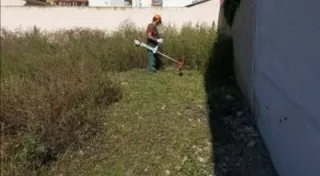 Jardinero económico