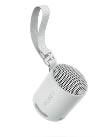 Altavoz Sony tengo azul y gris