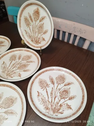 6 Platos Llanos Cerámica Vintage