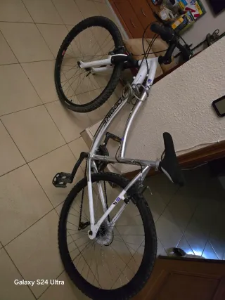 Bicicleta de montaña plateada