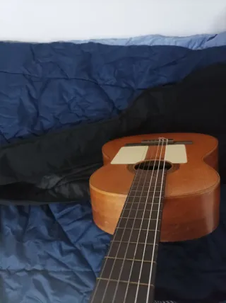 Funda de guitarra