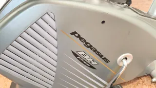 Bici Estática BH Pegasus