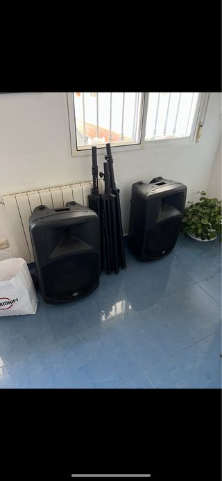 2 Altavoces 15 500 RMS