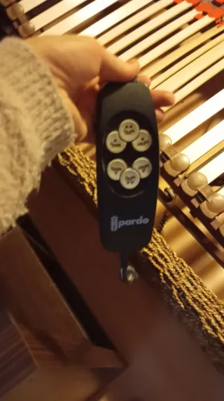 Cama Articulada eléctrica Doble con mando