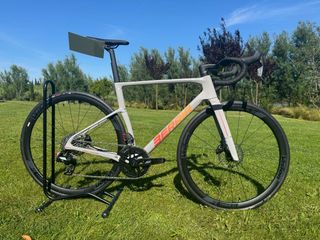 OFERTA BERRIA BELADOR PRO RIVAL 2026