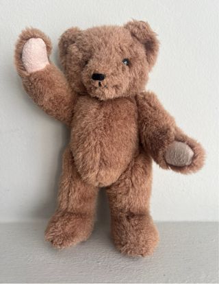 Osito peluche Teddy Bear inglés