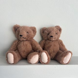 Osito peluche Teddy Bear inglés