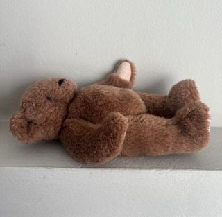 Osito peluche Teddy Bear inglés