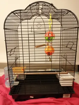 Jaula para loros negra y multicolor