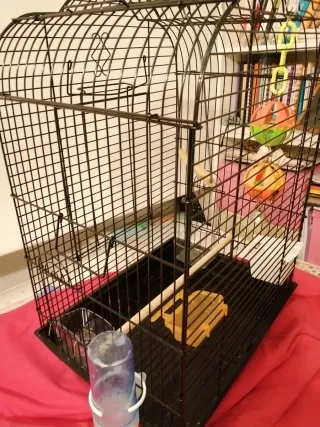 Jaula para loros negra y multicolor