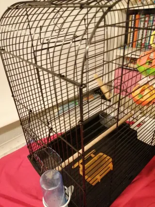 Jaula para loros negra y multicolor