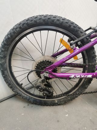 Bicicleta per bambini 20 pollici per bambina e bambino