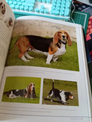 Enciclopedia de las Razas de Perros