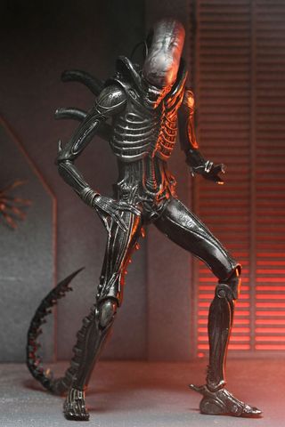 Figura 18 Cm Alien: Romulus Neca Xenomorph XX121