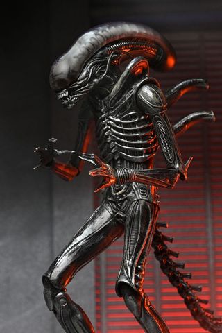 Figura 18 Cm Alien: Romulus Neca Xenomorph XX121
