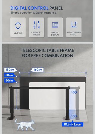 FLEXISPOT EC5 Lite Escritorio Elevable Eléctrico