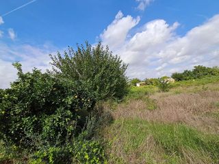 Solar en venta en Barriomar en Murcia