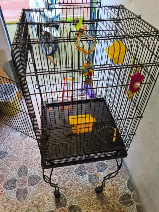 Jaula para loros negra con accesorios