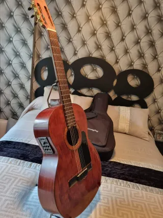 Guitarra amplificada prudencio saez